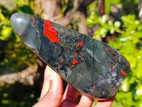 Polished Bloodstone Standing Free Forms x 3 From Swaziland