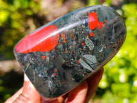 Polished Bloodstone Standing Free Forms x 3 From Swaziland