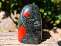 Polished Bloodstone Standing Free Forms x 3 From Swaziland