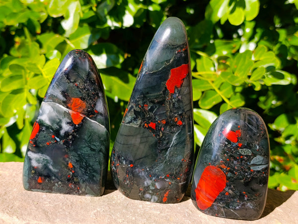 Polished Bloodstone Standing Free Forms x 3 From Swaziland