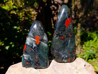 Polished Bloodstone Standing Free Forms x 3 From Swaziland