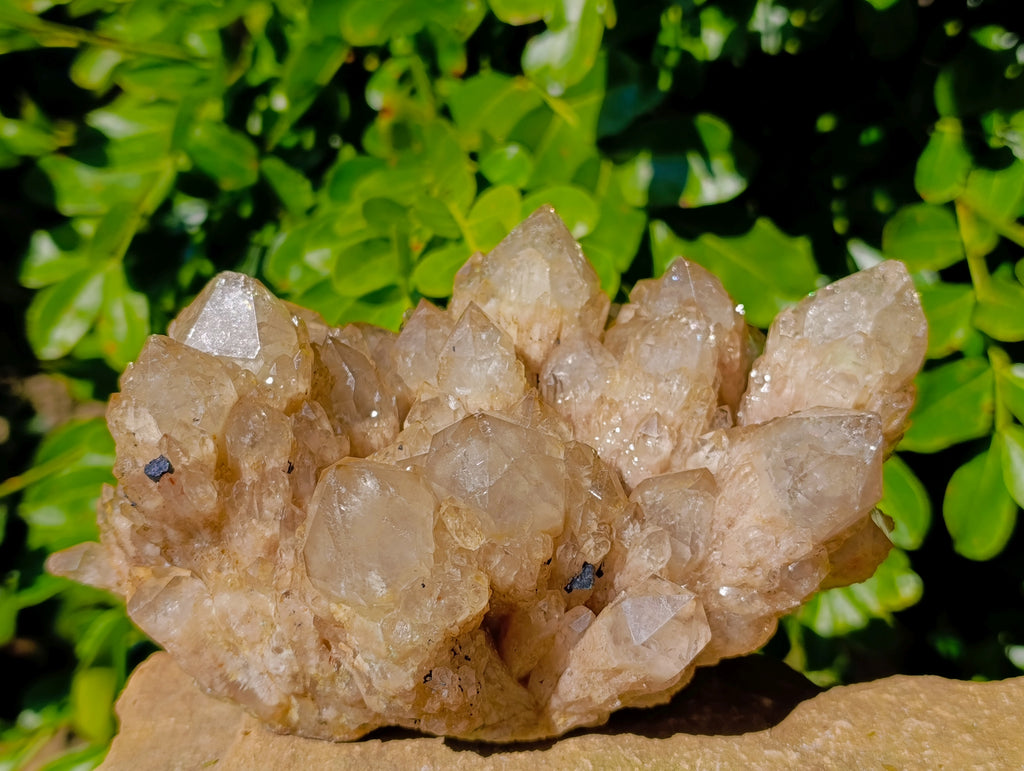 Natural Phantom Cascading Smokey Quartz Cluster x 1 From Luena, Congo - Toprock Gemstones and Minerals 