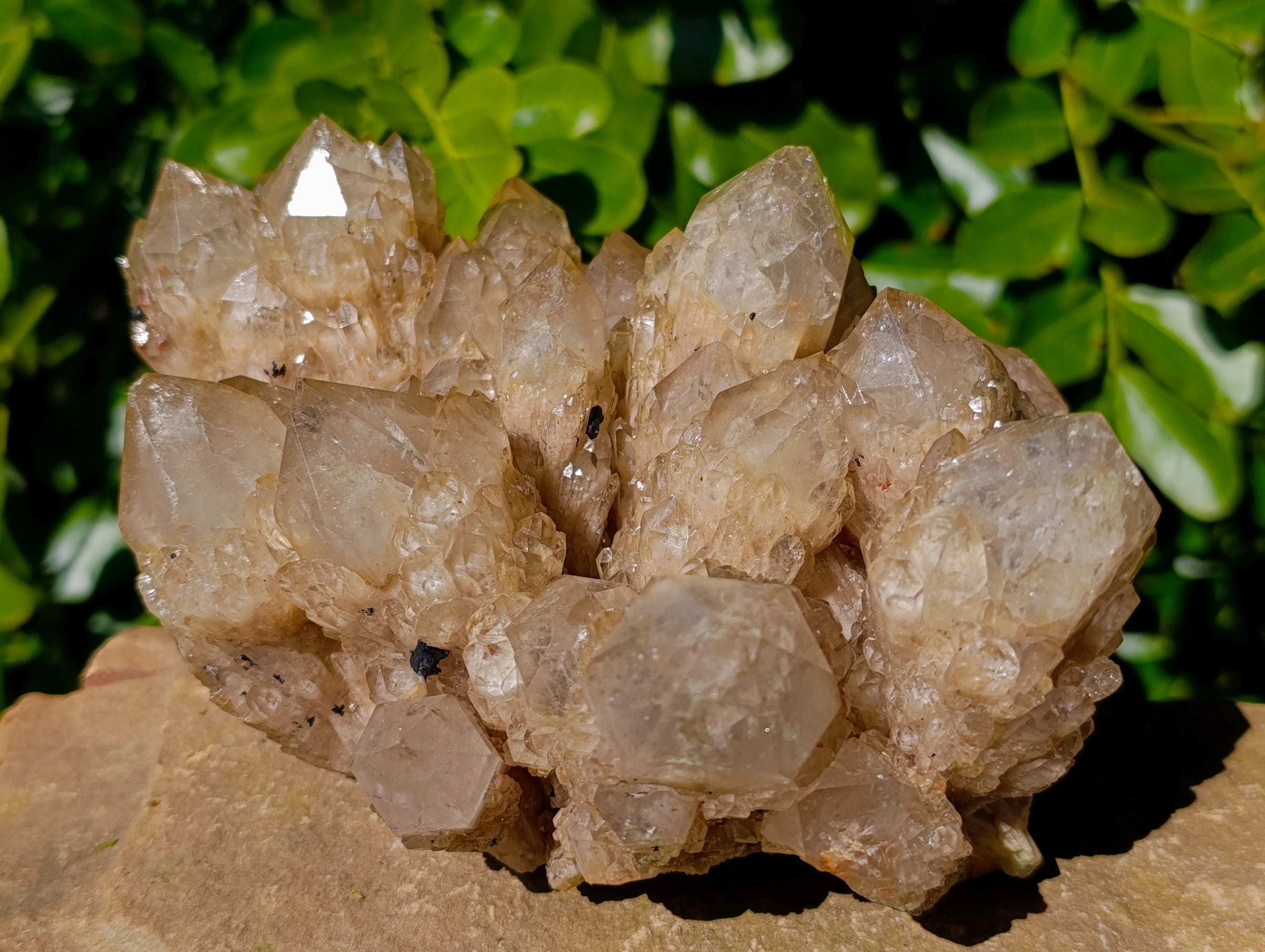Natural Phantom Cascading Smokey Quartz Cluster x 1 From Luena, Congo - Toprock Gemstones and Minerals 