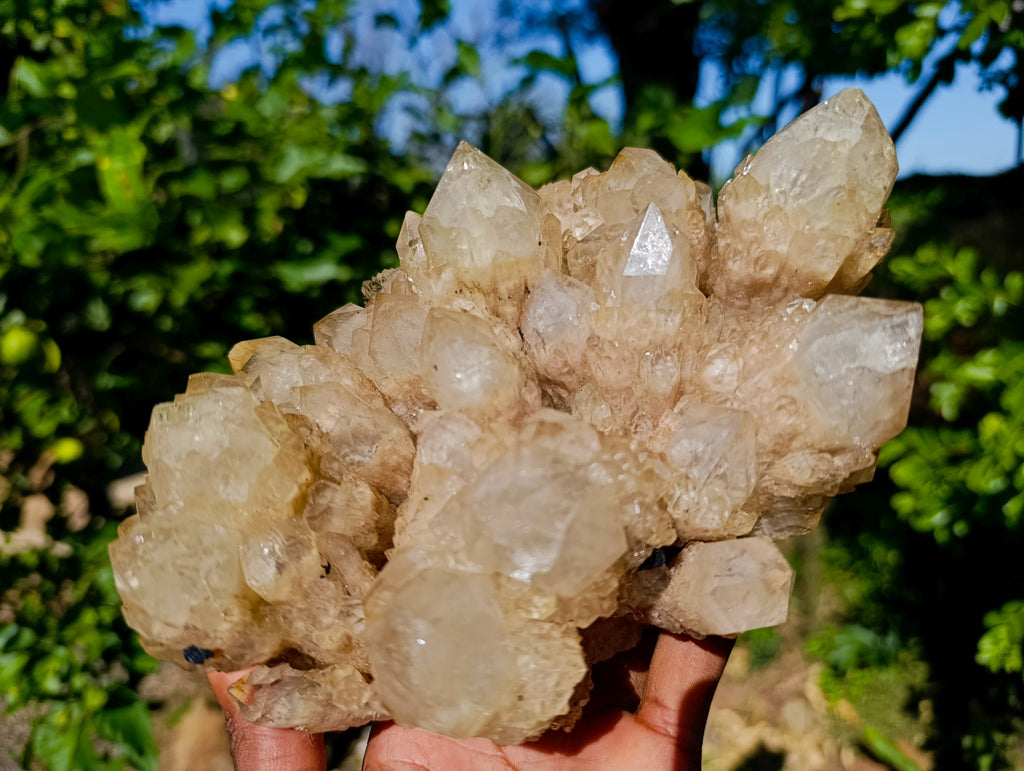 Natural Phantom Cascading Smokey Quartz Cluster x 1 From Luena, Congo - Toprock Gemstones and Minerals 