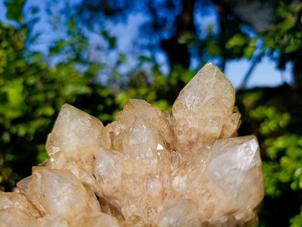 Natural Phantom Cascading Smokey Quartz Cluster x 1 From Luena, Congo - Toprock Gemstones and Minerals 