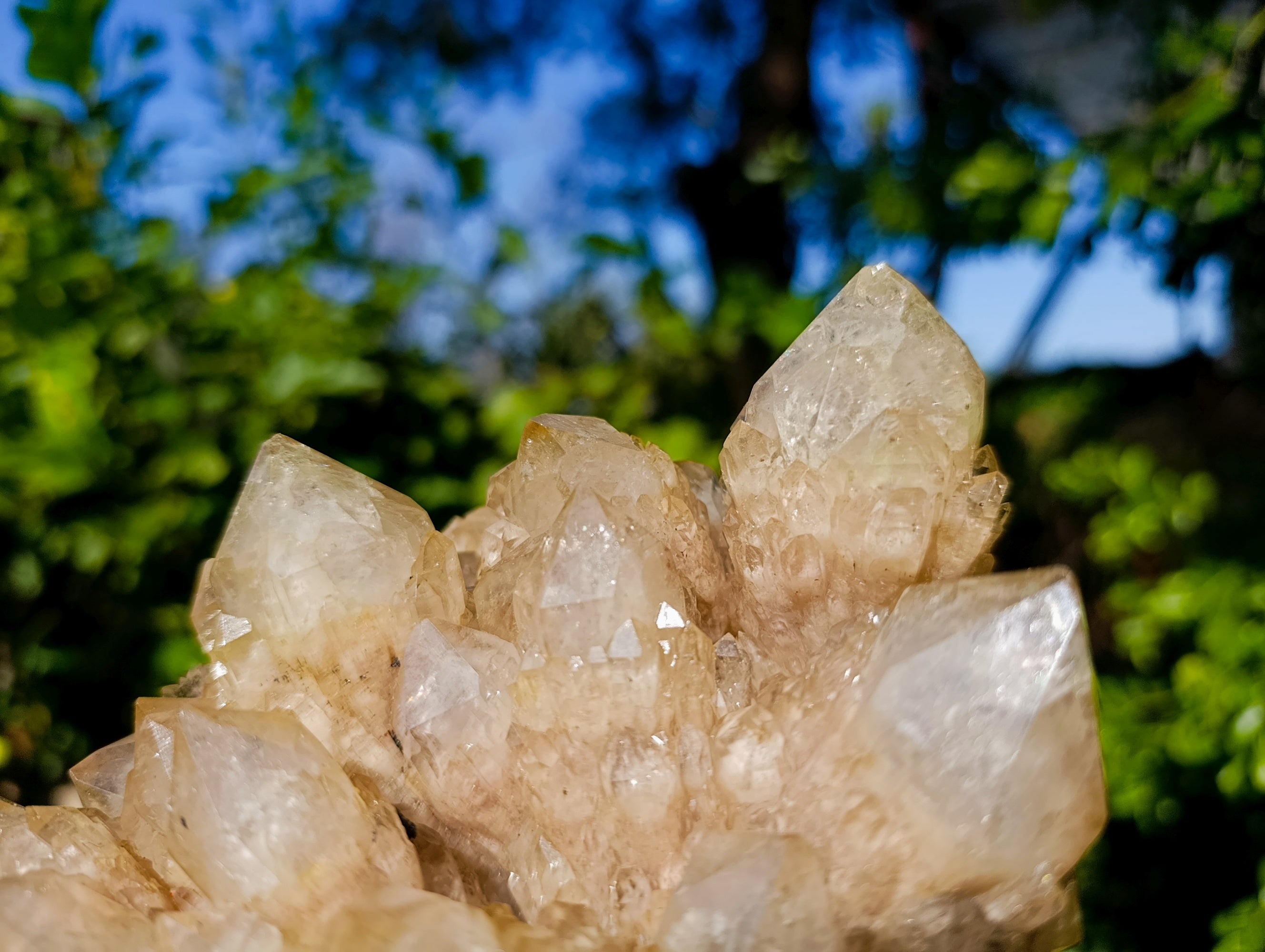 Natural Phantom Cascading Smokey Quartz Cluster x 1 From Luena, Congo - Toprock Gemstones and Minerals 