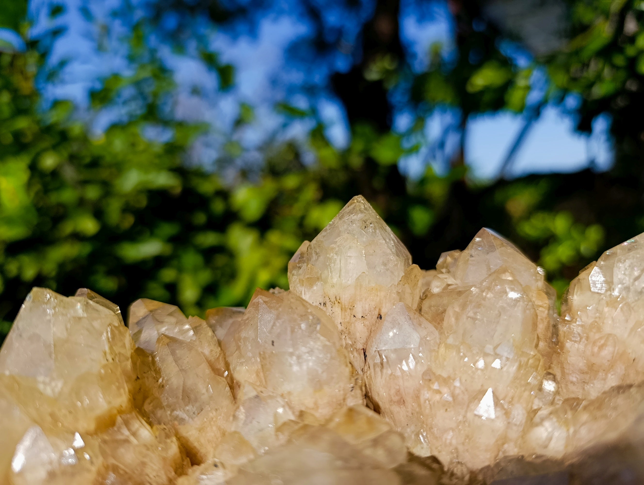 Natural Phantom Cascading Smokey Quartz Cluster x 1 From Luena, Congo - Toprock Gemstones and Minerals 