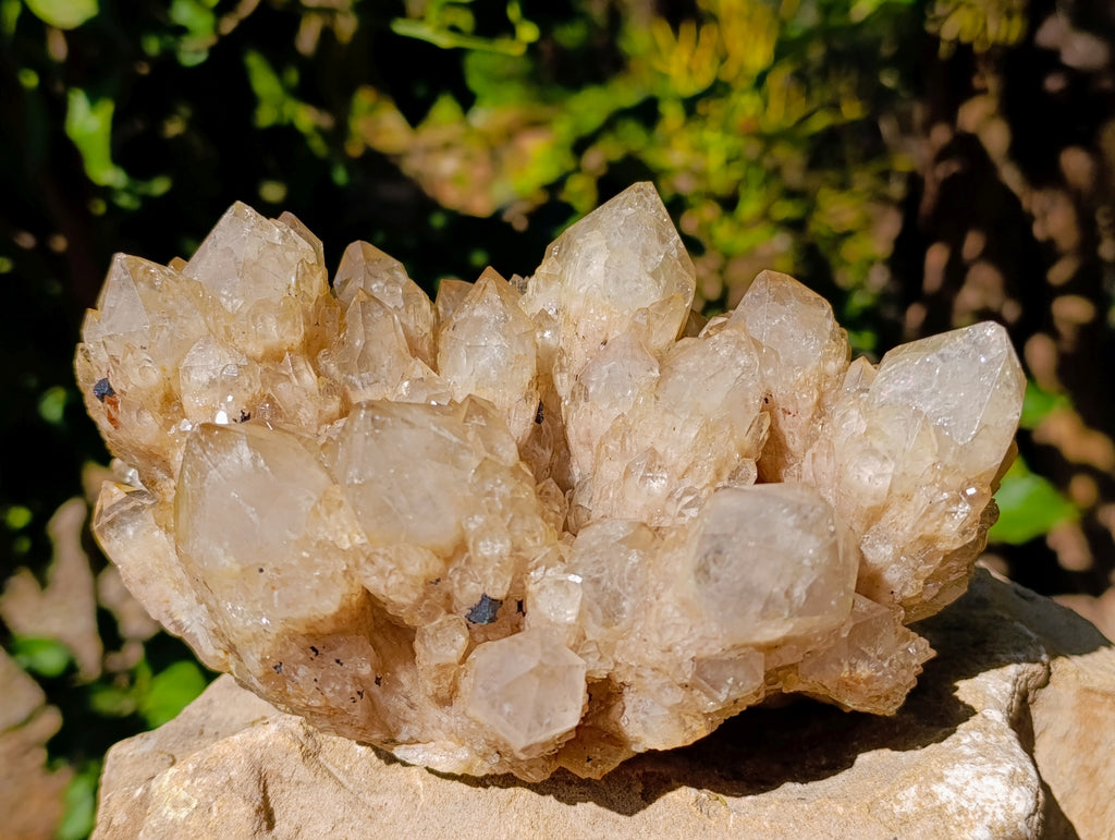 Natural Phantom Cascading Smokey Quartz Cluster x 1 From Luena, Congo - Toprock Gemstones and Minerals 
