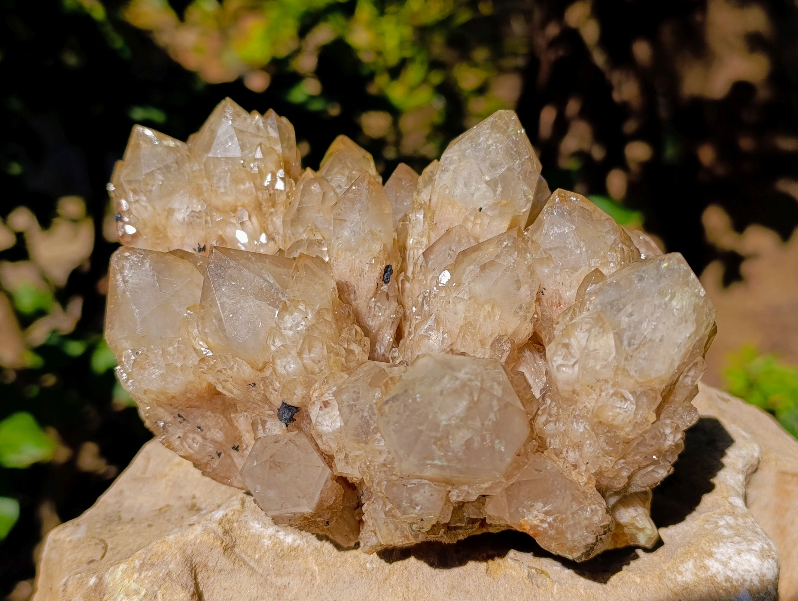 Natural Phantom Cascading Smokey Quartz Cluster x 1 From Luena, Congo - Toprock Gemstones and Minerals 