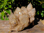 Natural Phantom Cascading Smokey Quartz Cluster x 1 From Luena, Congo - Toprock Gemstones and Minerals 