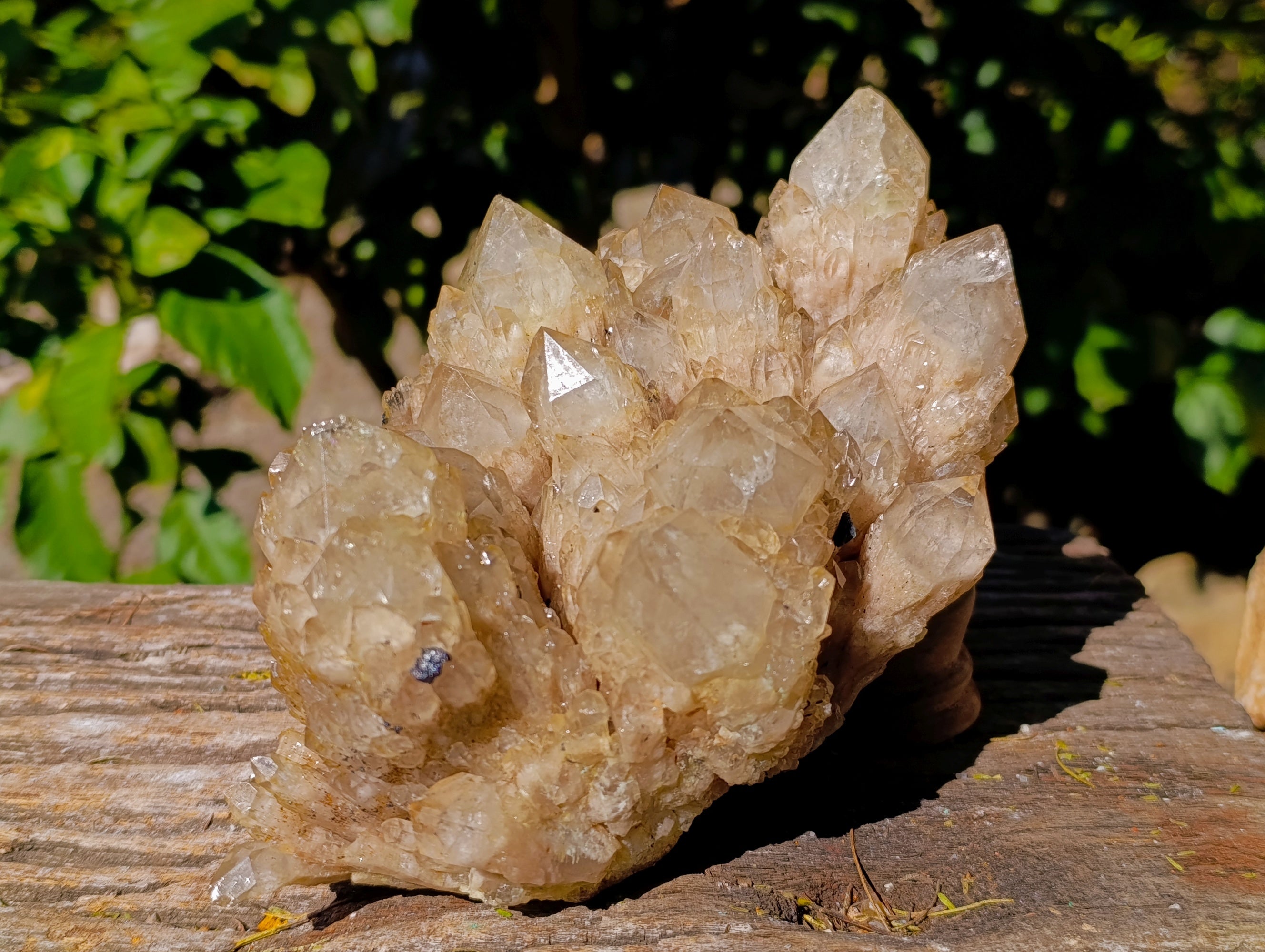 Natural Phantom Cascading Smokey Quartz Cluster x 1 From Luena, Congo - Toprock Gemstones and Minerals 