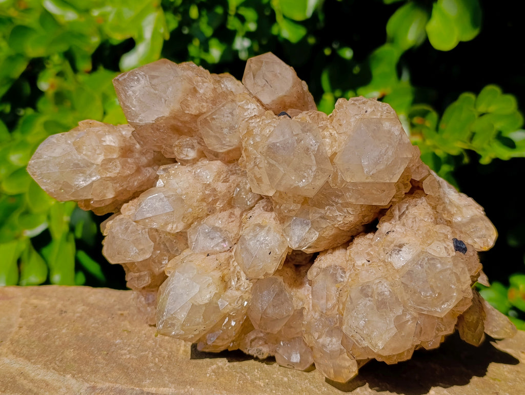 Natural Phantom Cascading Smokey Quartz Cluster x 1 From Luena, Congo - Toprock Gemstones and Minerals 