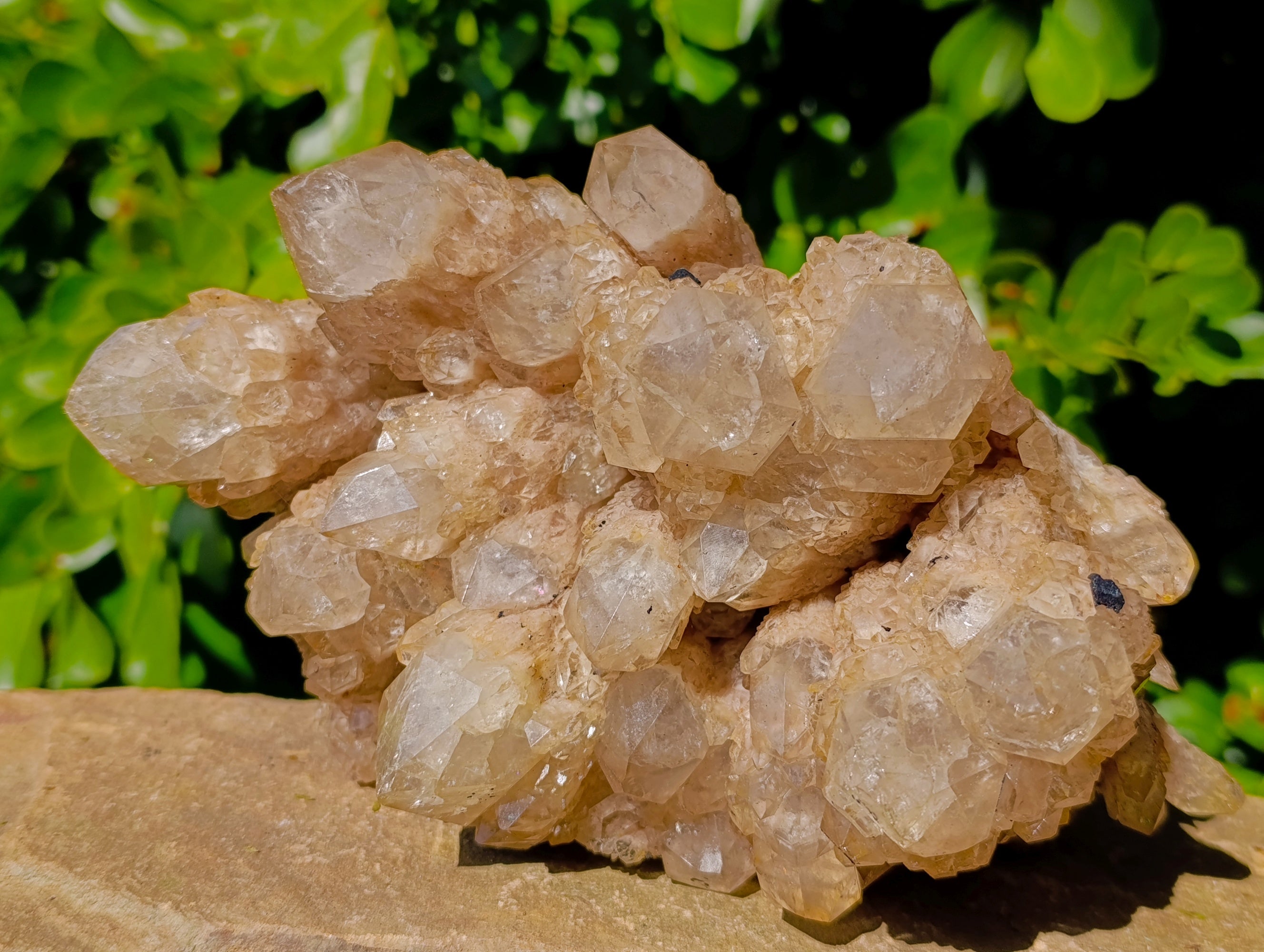 Natural Phantom Cascading Smokey Quartz Cluster x 1 From Luena, Congo - Toprock Gemstones and Minerals 
