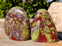 Polished Bloodstone Standing Free Forms x 2 From Swaziland
