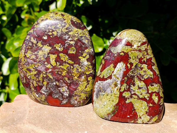 Polished Bloodstone Standing Free Forms x 2 From Swaziland