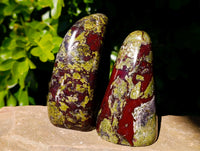 Polished Bloodstone Standing Free Forms x 2 From Swaziland