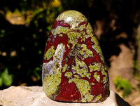 Polished Bloodstone Standing Free Forms x 2 From Swaziland