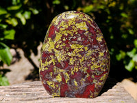 Polished Bloodstone Standing Free Forms x 2 From Swaziland