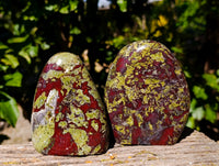 Polished Bloodstone Standing Free Forms x 2 From Swaziland