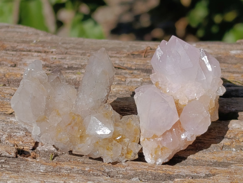 Natural Spirit Quartz Crystals x 35 From Boekenhouthoek, South Africa - Toprock Gemstones and Minerals 