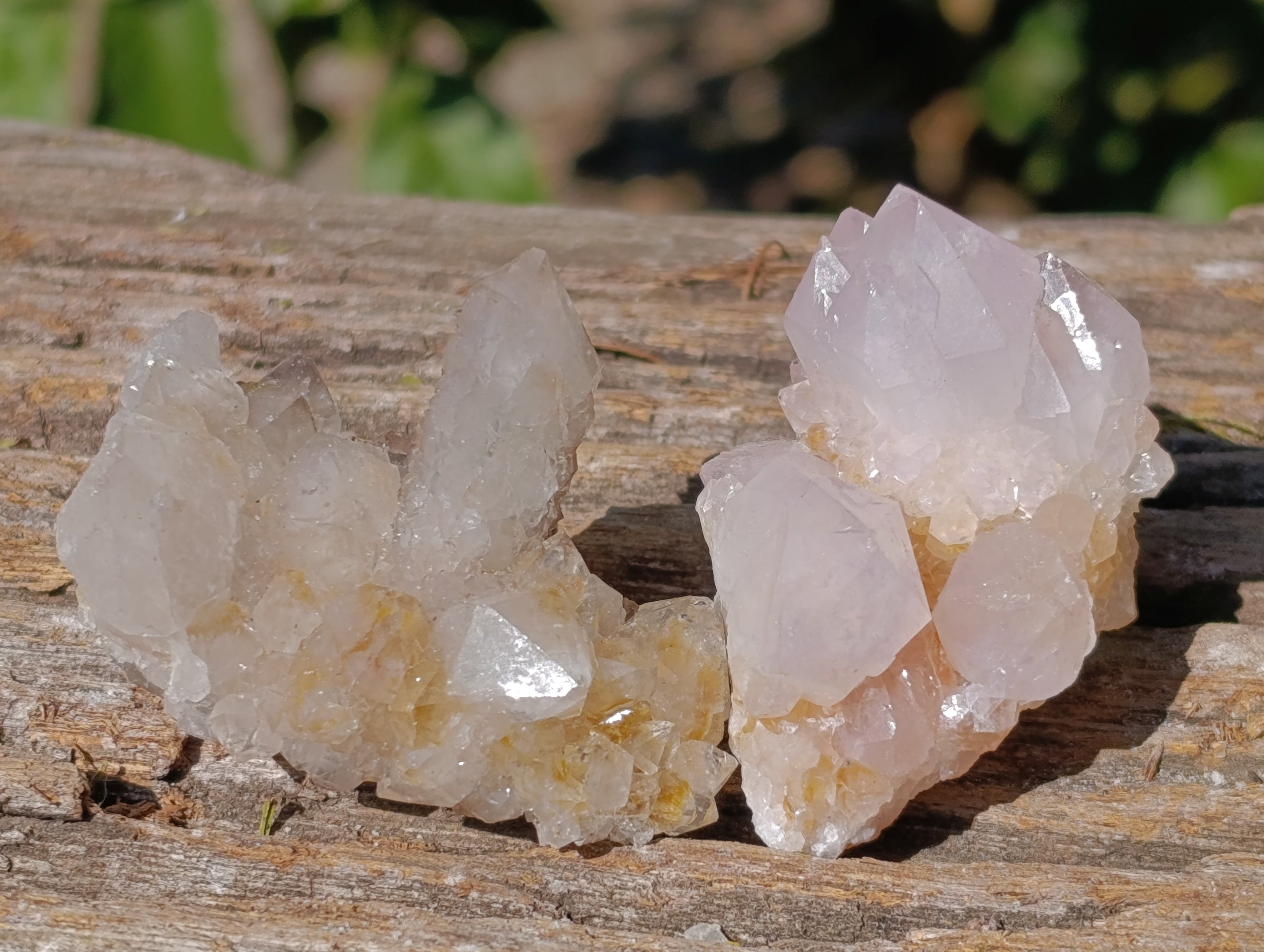 Natural Spirit Quartz Crystals x 35 From Boekenhouthoek, South Africa - Toprock Gemstones and Minerals 