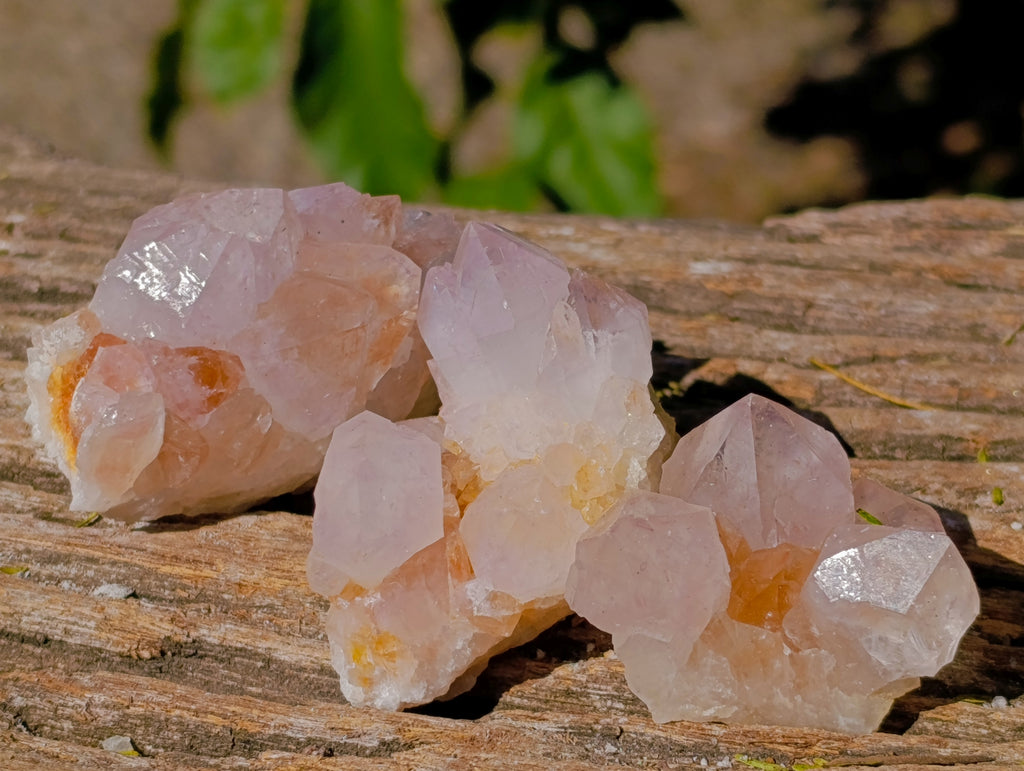 Natural Spirit Quartz Crystals x 35 From Boekenhouthoek, South Africa - Toprock Gemstones and Minerals 