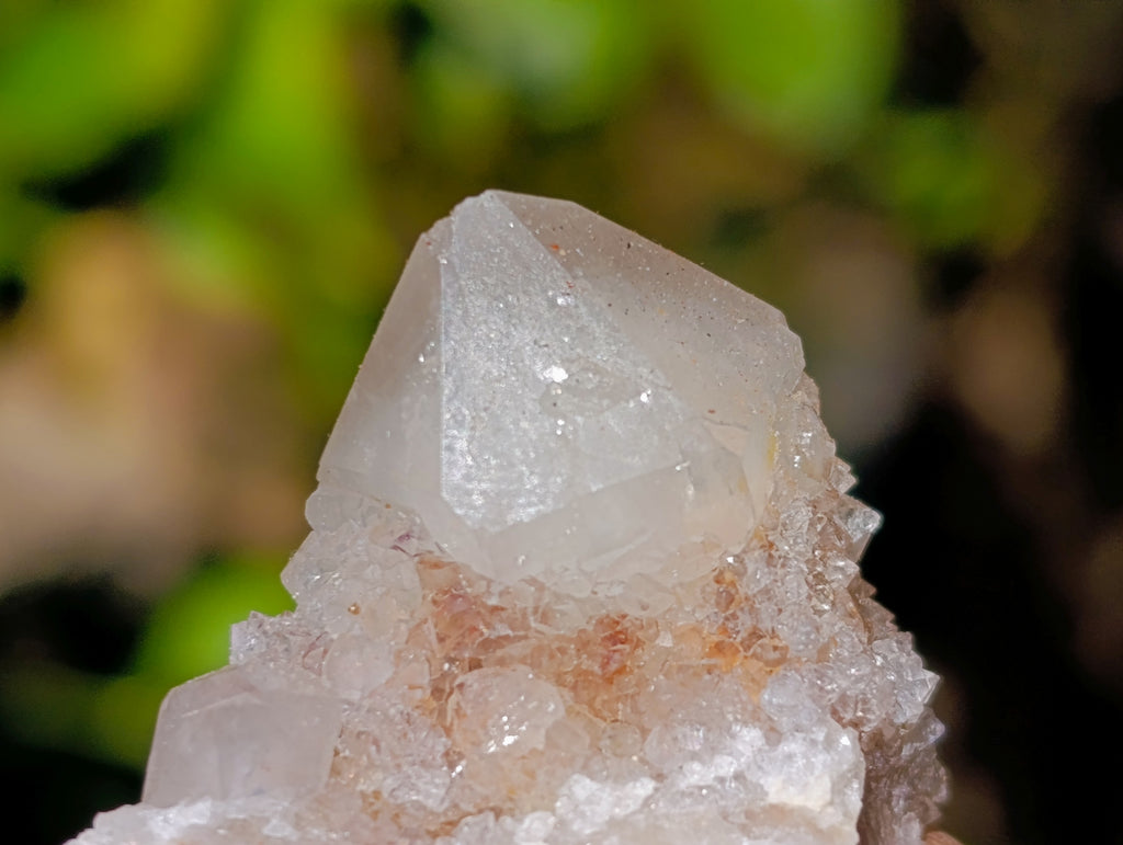 Natural Spirit Quartz Crystals x 35 From Boekenhouthoek, South Africa - Toprock Gemstones and Minerals 