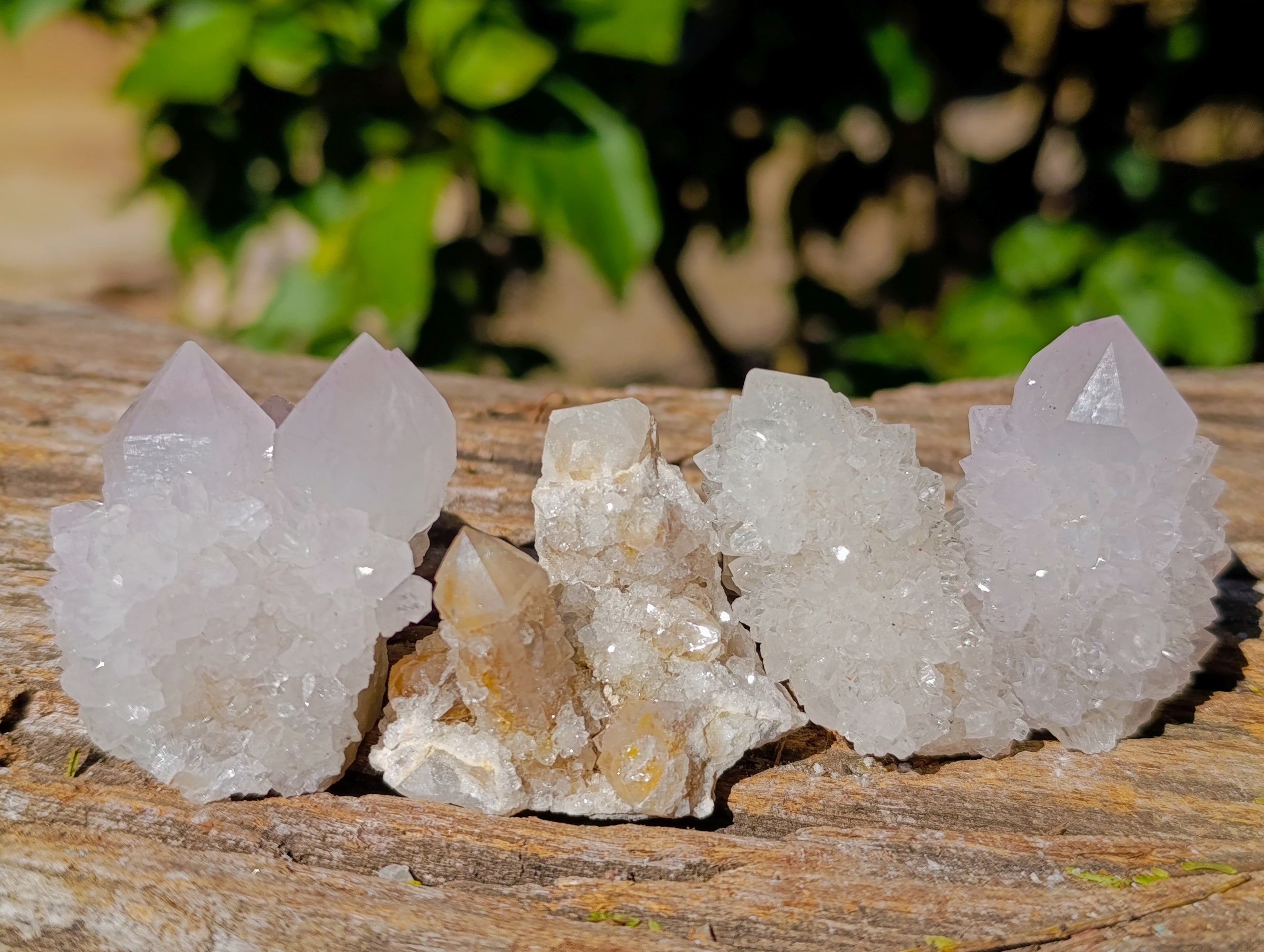 Natural Spirit Quartz Crystals x 35 From Boekenhouthoek, South Africa - Toprock Gemstones and Minerals 