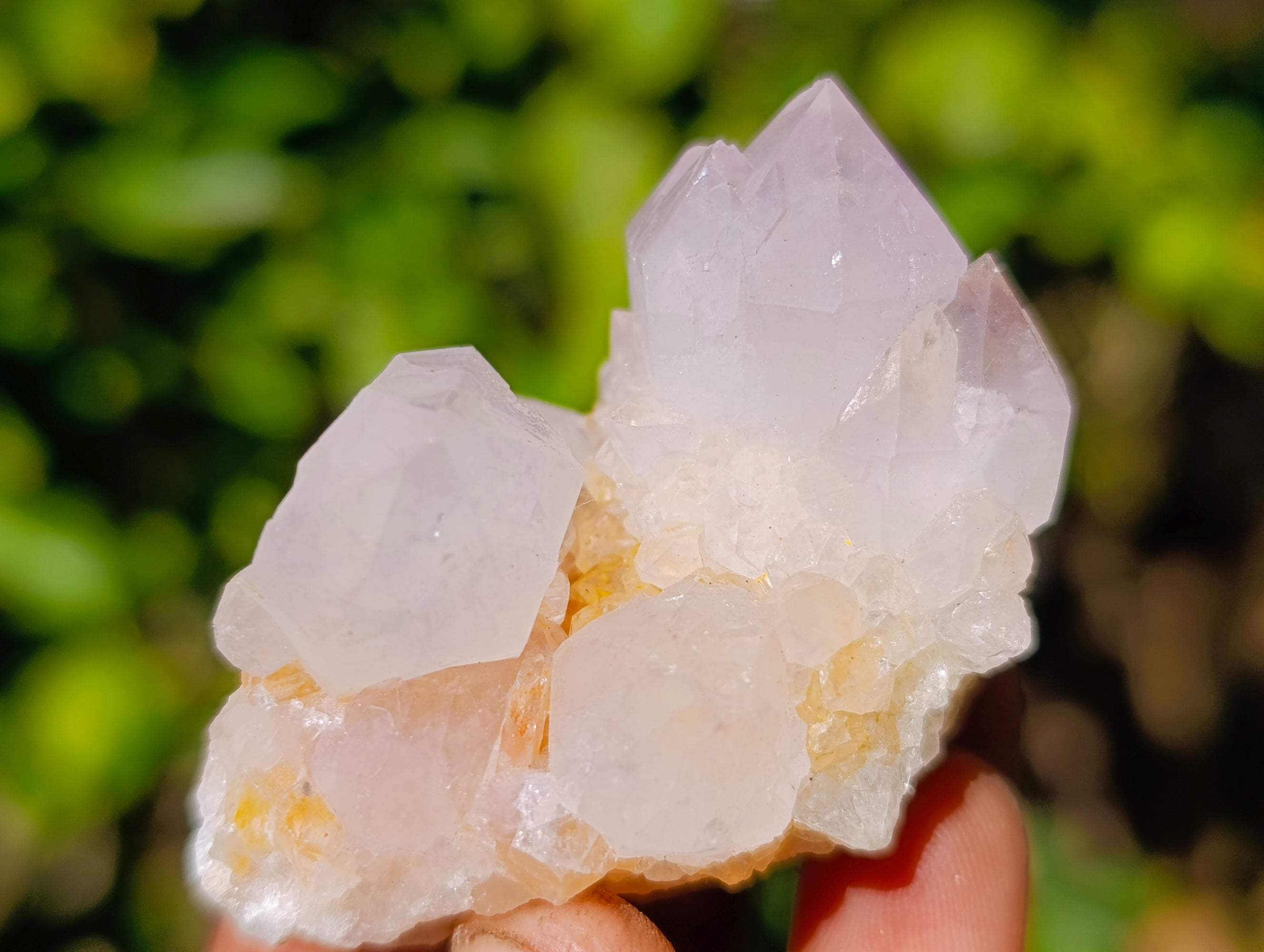 Natural Spirit Quartz Crystals x 35 From Boekenhouthoek, South Africa - Toprock Gemstones and Minerals 