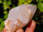 Natural Spirit Quartz Crystals x 35 From Boekenhouthoek, South Africa - Toprock Gemstones and Minerals 