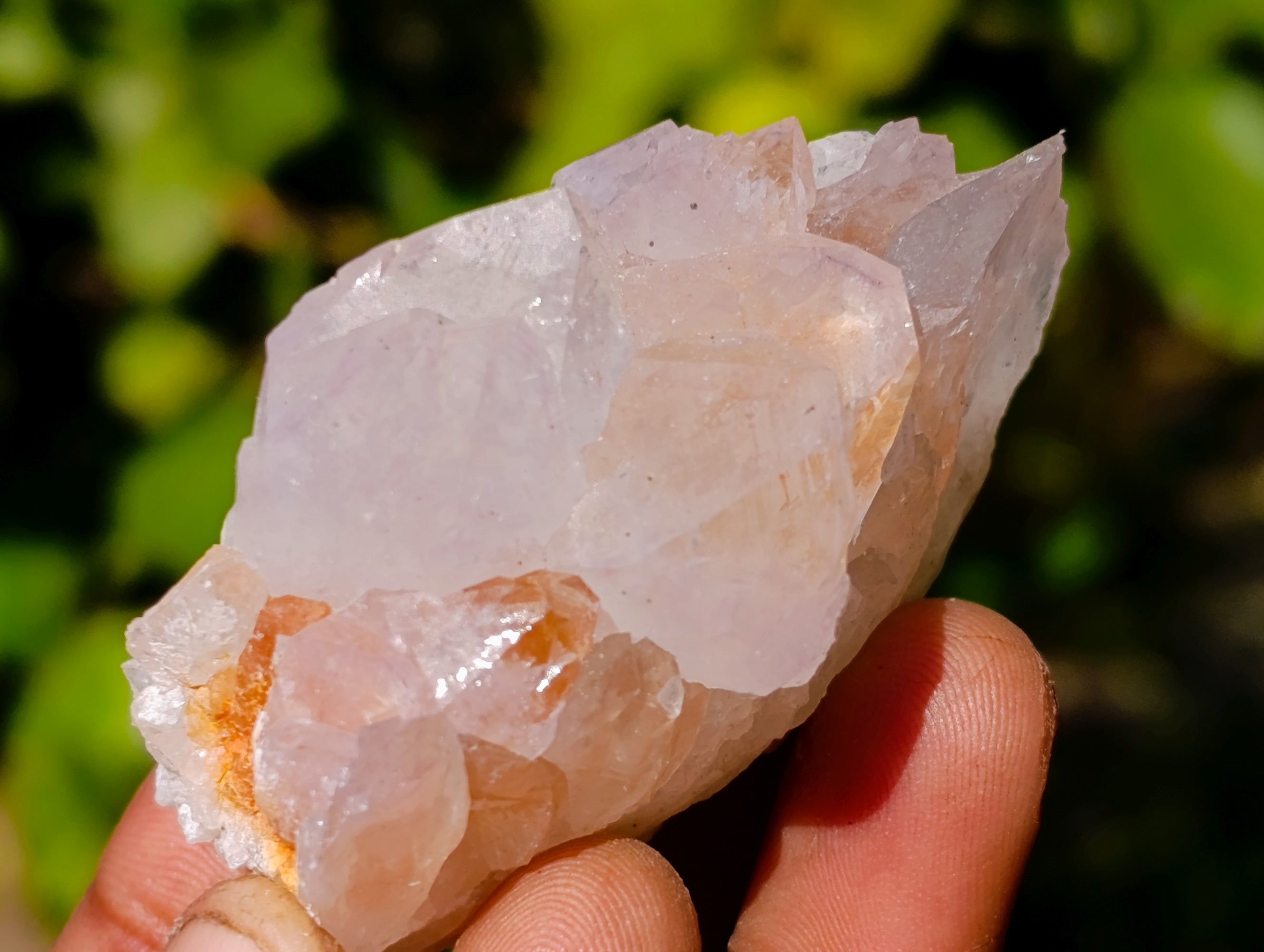 Natural Spirit Quartz Crystals x 35 From Boekenhouthoek, South Africa - Toprock Gemstones and Minerals 