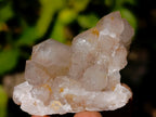 Natural Spirit Quartz Crystals x 35 From Boekenhouthoek, South Africa - Toprock Gemstones and Minerals 