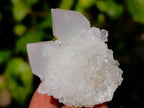 Natural Spirit Quartz Crystals x 35 From Boekenhouthoek, South Africa - Toprock Gemstones and Minerals 