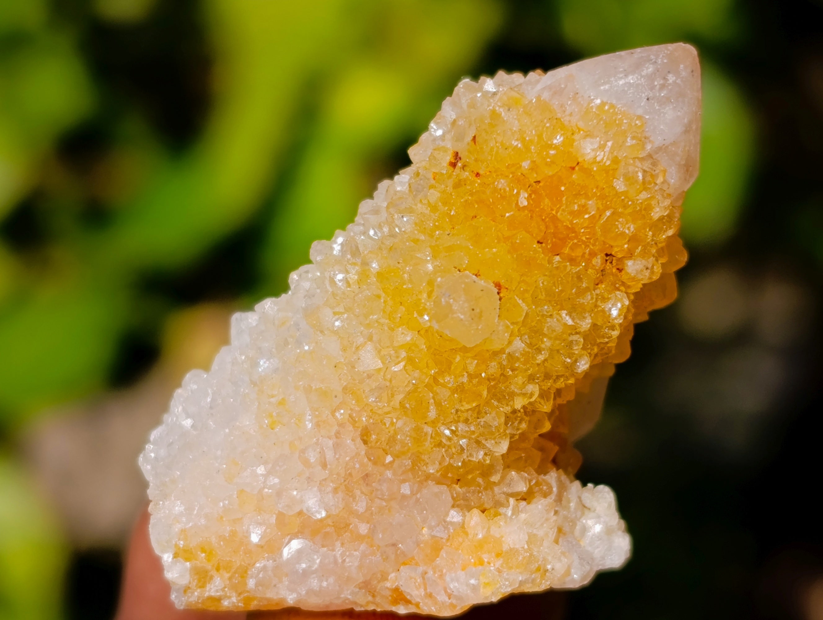 Natural Spirit Quartz Crystals x 35 From Boekenhouthoek, South Africa - Toprock Gemstones and Minerals 