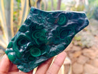 Polished Flower Banded Malachite Free Forms x 4 From Congo - Toprock Gemstones and Minerals 
