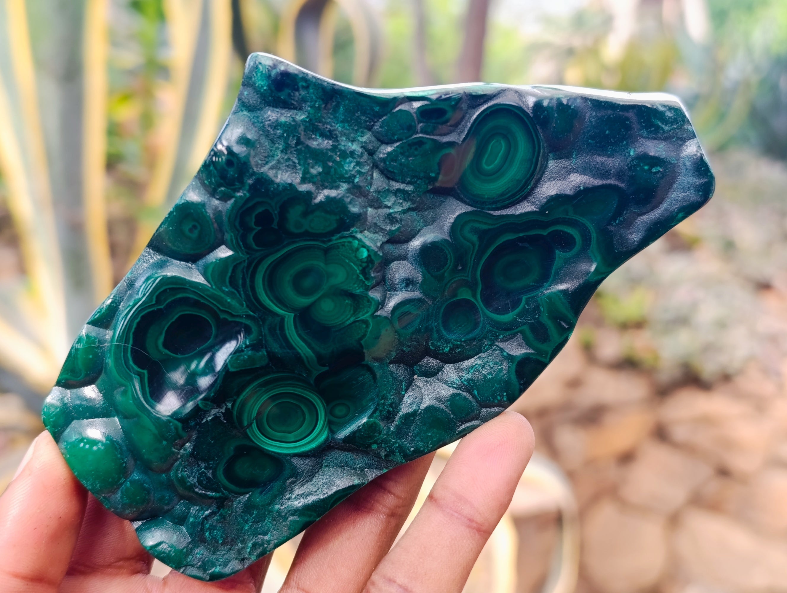 Polished Flower Banded Malachite Free Forms x 4 From Congo - Toprock Gemstones and Minerals 