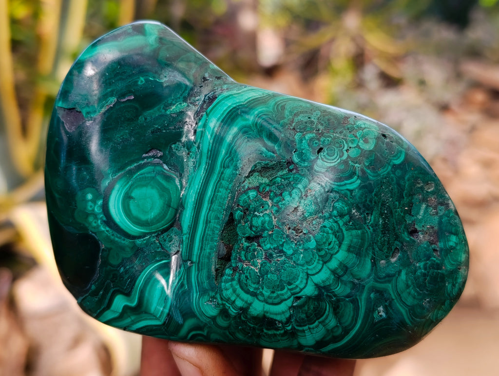 Polished Flower Banded Malachite Free Forms x 4 From Congo - Toprock Gemstones and Minerals 