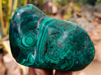 Polished Flower Banded Malachite Free Forms x 4 From Congo - Toprock Gemstones and Minerals 