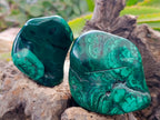 Polished Flower Banded Malachite Free Forms x 4 From Congo - Toprock Gemstones and Minerals 