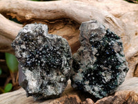 Natural Libethenite Crystals On Dolomite Matrix Specimens x 6 From Shituru, Congo