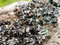 Natural Libethenite Crystals On Dolomite Matrix Specimens x 6 From Shituru, Congo