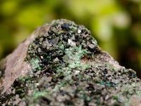 Natural Libethenite Crystals On Dolomite Matrix Specimens x 6 From Shituru, Congo