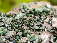 Natural Libethenite Crystals On Dolomite Matrix Specimens x 6 From Shituru, Congo