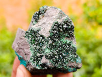 Natural Libethenite Crystals On Dolomite Matrix Specimens x 6 From Shituru, Congo