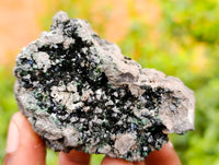 Natural Libethenite Crystals On Dolomite Matrix Specimens x 6 From Shituru, Congo