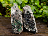 Natural Libethenite Crystals On Dolomite Matrix Specimens x 6 From Shituru, Congo