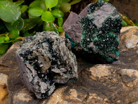 Natural Libethenite Crystals On Dolomite Matrix Specimens x 6 From Shituru, Congo