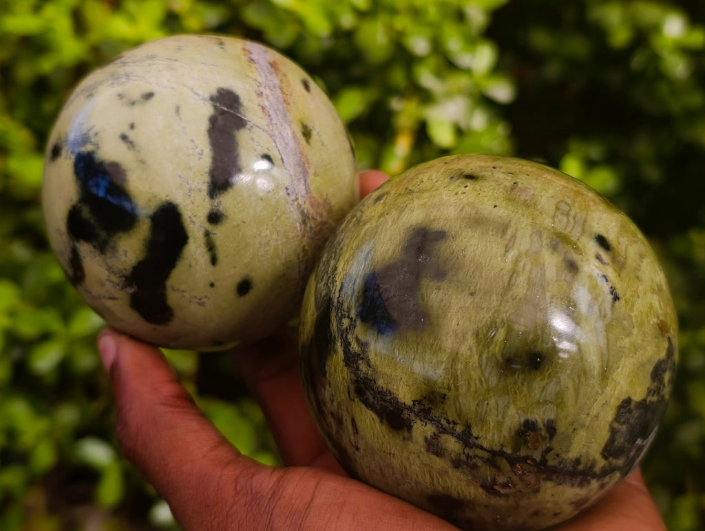 Polished Leopard Stone Spheres x 2 From Nyanga, Zimbabwe - Toprock Gemstones and Minerals 