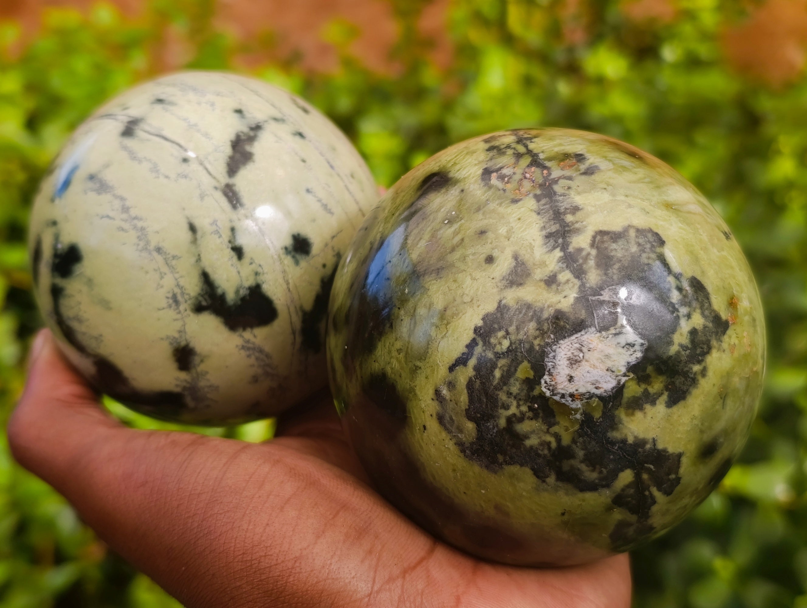 Polished Leopard Stone Spheres x 2 From Nyanga, Zimbabwe - Toprock Gemstones and Minerals 