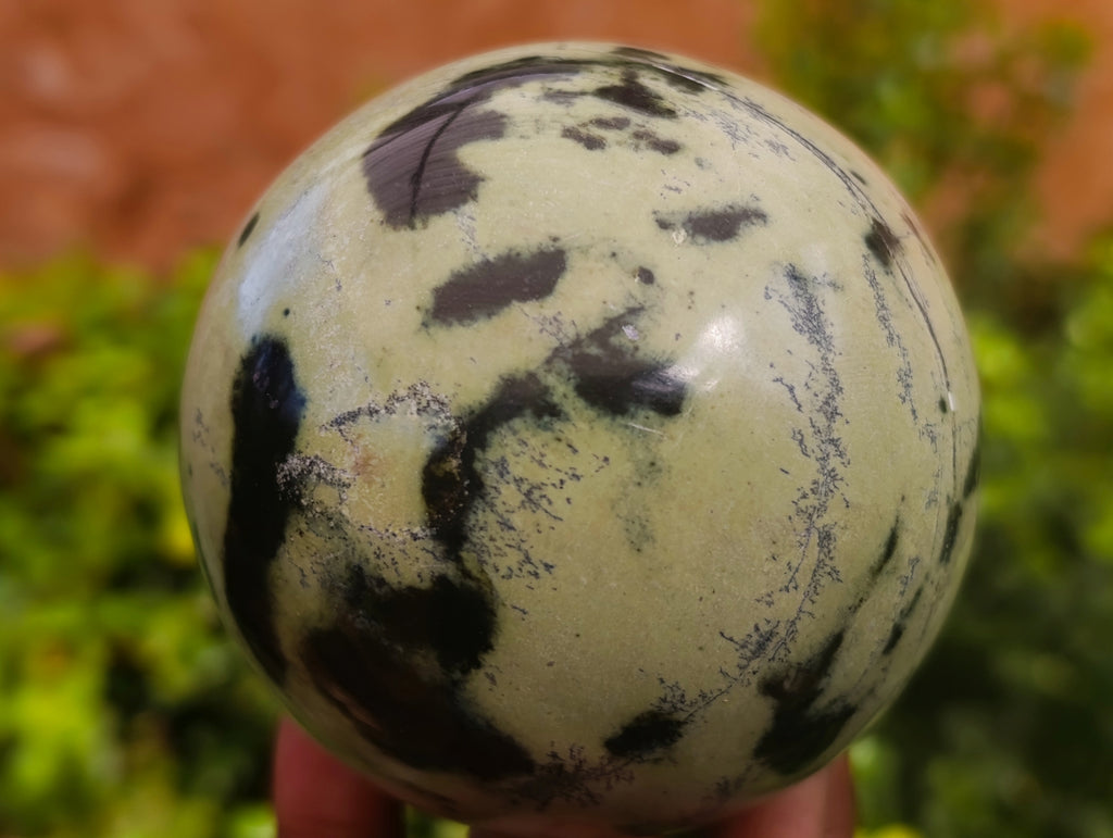 Polished Leopard Stone Spheres x 2 From Nyanga, Zimbabwe - Toprock Gemstones and Minerals 